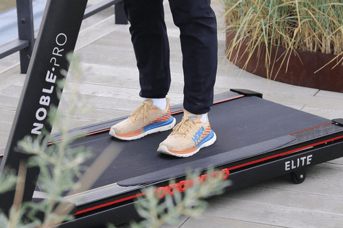 What Affects Injury Risk?